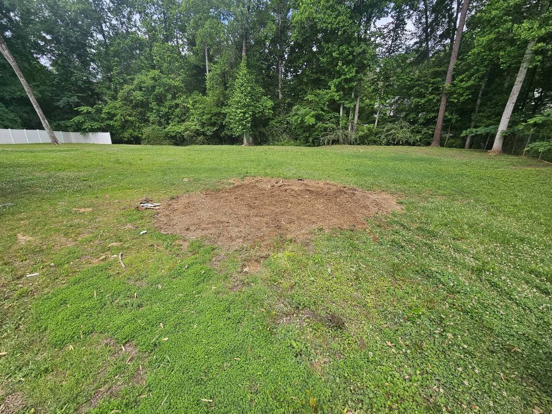 Green lawn where a stump was ground down and raked