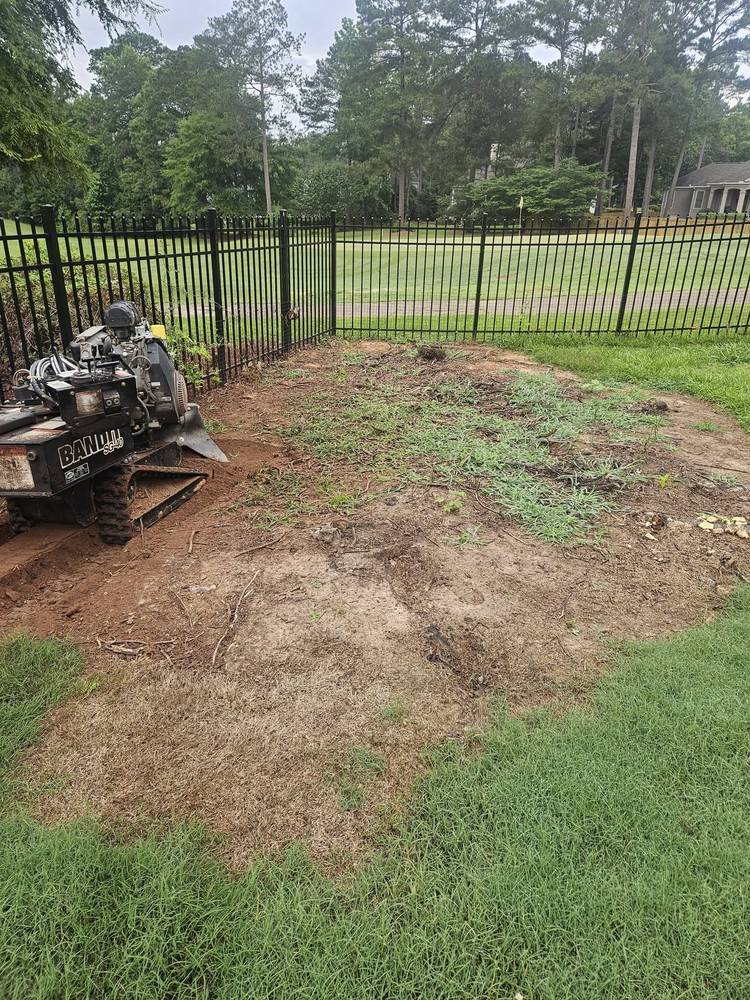 Stump grinder beside an iron fence with cleared ground