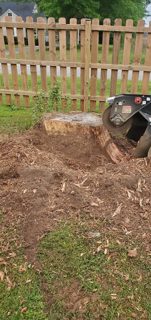 Middle Georgia Stump Grinding grinder taking down a stump